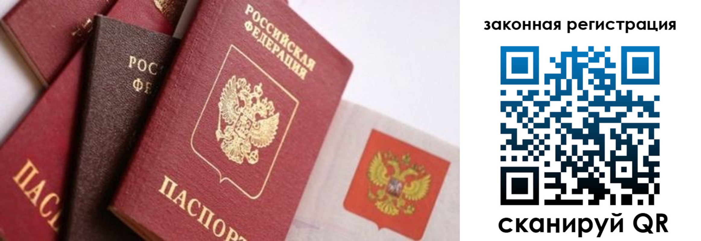 прописка штамп в Рошале
